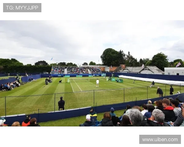 温网草地赛季发球上网回归